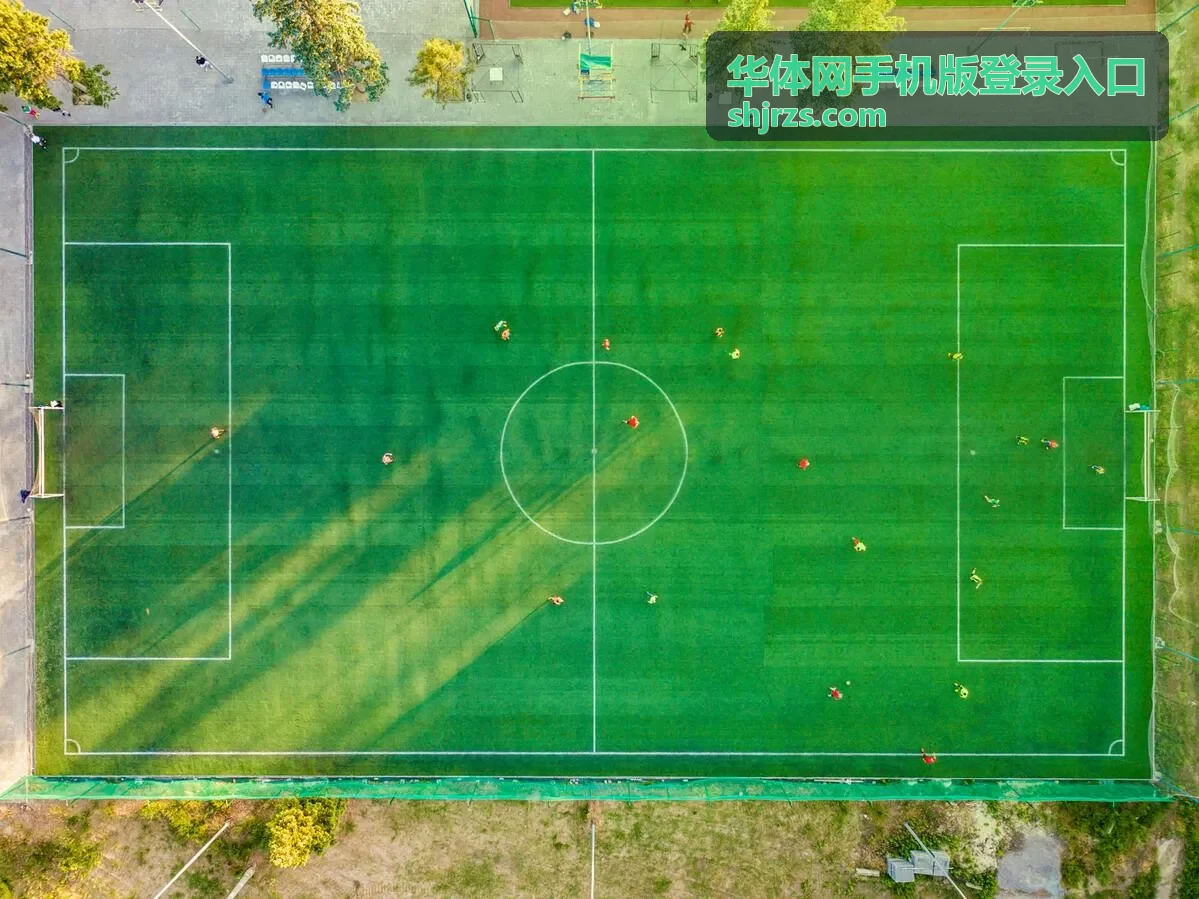 华体网手机版登录入口在手机端的页面展示
