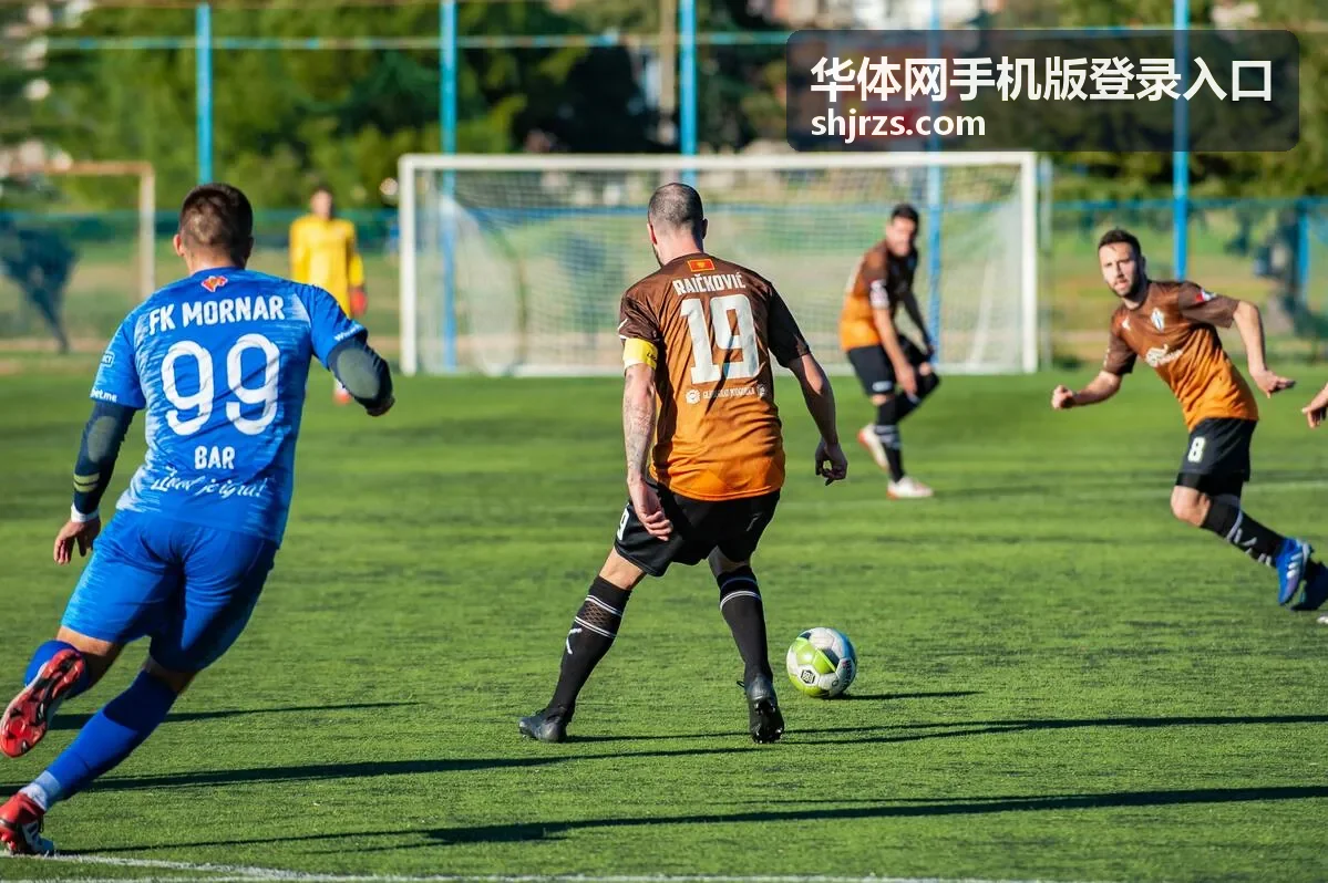华体网手机版登录入口会员专属数据面板